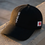 Vertical "Los Angeles" / Japan Flag Hat