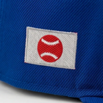 LA / Japan Flag Snapback